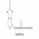 生物素-PEG-巯基 Biotin-PEG-SH