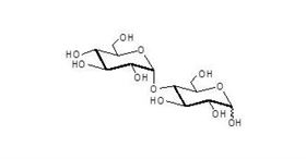 麦芽糖 Maltose 麦芽糖 Maltose