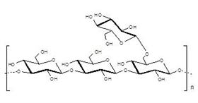 硬葡聚糖 Scleroglucan polysaccharide 硬葡聚糖 Scleroglucan polysaccharide