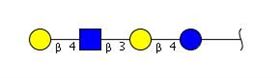 LNnT-N-acetyl-propargyl LNnT-N-acetyl-propargyl