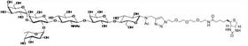6GrB1-NAc-spacer3-Biotin 6GrB1-NAc-spacer3-Biotin