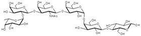 阶段特异性胚胎抗原3b Globo-H hexaose / Stage Specific Embryonic Antigen 3b / SSEA-3b 阶段特异性胚胎抗原3b Globo-H hexaose / Stage Specific Embryonic Antigen 3b / SSEA-3b