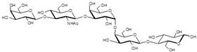 Gb五糖类似物1型 Globopentaose analogue type 1 / Gb5 analogue type 1 Gb五糖类似物1型 Globopentaose analogue type 1 / Gb5 analogue type 1