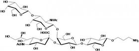 GM1a神经节苷脂类糖-β-氨丙基,GM1a Ganglioside sugar-β-Aminopropyl GM1a神经节苷脂类糖-β-氨丙基,GM1a Ganglioside sugar-β-Aminopropyl