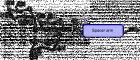 Lewis y抗原五糖-β-N-乙酰基-空间构型3-生物素,Lewis<sup>y</sup> pentaose-β-N-Acetyl-spacer3-Biotin Lewis y抗原五糖-β-N-乙酰基-空间构型3-生物素,Lewis<sup>y</sup> pentaose-β-N-Acetyl-spacer3-Biotin