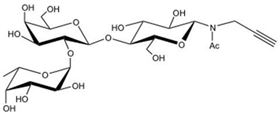 2' 岩藻糖乳糖-N-乙酰基-丙炔,2' Fucosyllactose-β-NAc-Propargyl 2' 岩藻糖乳糖-N-乙酰基-丙炔,2' Fucosyllactose-β-NAc-Propargyl