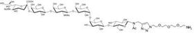 Lewis y抗原五糖-β-N-乙酰基-空间构型3-生物素,Lewis<sup>y</sup> pentaose-β-N-Acetyl-spacer3-Biotin Lewis y抗原五糖-β-N-乙酰基-空间构型3-生物素,Lewis<sup>y</sup> pentaose-β-N-Acetyl-spacer3-Biotin