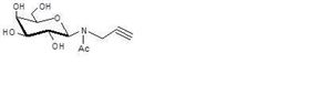 半乳糖β-N(乙酰基)-丙炔, Galactoseβ-N(acetyl)-propargyl 半乳糖β-N(乙酰基)-丙炔, Galactoseβ-N(acetyl)-propargyl