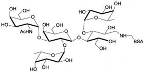 3-岩藻糖-A血型抗原四糖-BSA, 3-Fucosylated Blood group A tetraose linked to BSA 3-岩藻糖-A血型抗原四糖-BSA, 3-Fucosylated Blood group A tetraose linked to BSA
