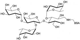 3-岩藻糖-B血型抗原四糖-BSA, 3-Fucosylated Blood group B tetraose linked to BSA 3-岩藻糖-B血型抗原四糖-BSA, 3-Fucosylated Blood group B tetraose linked to BSA