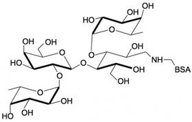 乳糖二岩藻糖四糖-BSA, Lactodifucotetraose linked to BSA / DF-L-BSA / Difucosyllactose-BSA 乳糖二岩藻糖四糖-BSA, Lactodifucotetraose linked to BSA / DF-L-BSA / Difucosyllactose-BSA