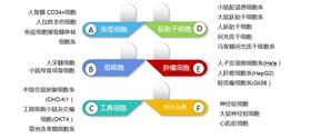 简便、可靠、高效 BAMBANKER / CultureSure 无血清细胞冻存液|生命科学|西宝生物科技(上海)股份有限公司-咨询电话:400-021-8158 简便、可靠、高效 BAMBANKER / CultureSure 无血清细胞冻存液|生命科学|西宝生物科技(上海)股份有限公司-咨询电话:400-021-8158