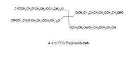 四臂-PEG-丙醛 4arm-PEG-pALD 四臂-PEG-丙醛 4arm-PEG-pALD