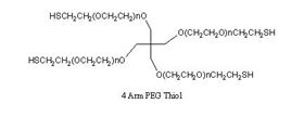 4 arm mPEG-Thiol 4 arm mPEG-Thiol