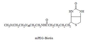 mPEG-Biotin 4MW Kit mPEG-Biotin 4MW Kit