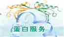 蛋白表达与纯化技术服务