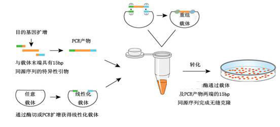 无缝克隆技术原理