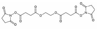 Ethylene Glycoi Bis( succinimidyIsuccinate)|70539-42-3 Ethylene Glycoi Bis( succinimidyIsuccinate)|70539-42-3