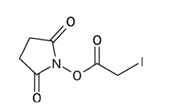 N-Hydroxysuccinimidy lodoacetate|39028-27-8 N-Hydroxysuccinimidy lodoacetate|39028-27-8