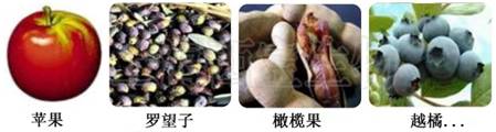 木聚糖的生物来源