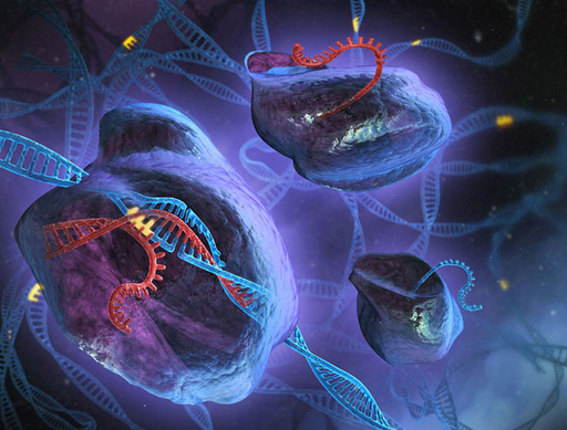 基因编辑技术成功精确修饰人类T细胞