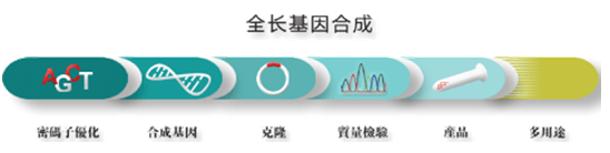 基因合成|质粒构建|点突变|西宝生物-专业技术服务-热线4000218158