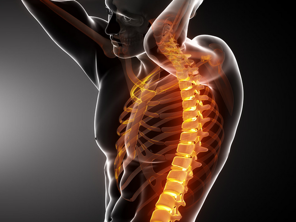 生物活性材料应用于脊髓损伤