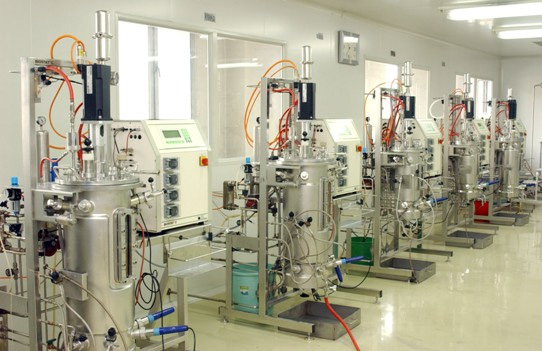 蛋白药物培养工序