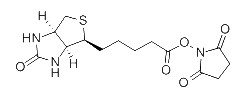 35013-72-0 Biotin-NHS