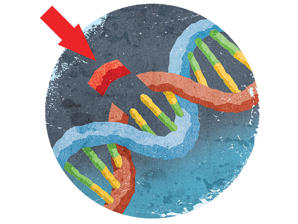 美国药监局批准了首个CRISPR人体试验计划