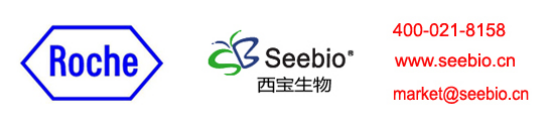 Roche诊断原料 - 西宝生物代理 Roche诊断原料 - 西宝生物代理