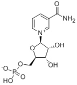 烟酰胺单核苷酸(NMN) 烟酰胺单核苷酸(NMN)