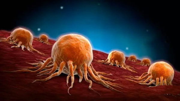 日研究者利用人体iPS细胞成功培养癌细胞"杀手"