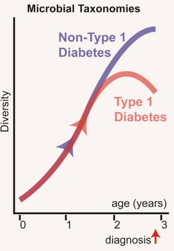 I型糖尿病新生儿的肠道微生物种类（红色）较少