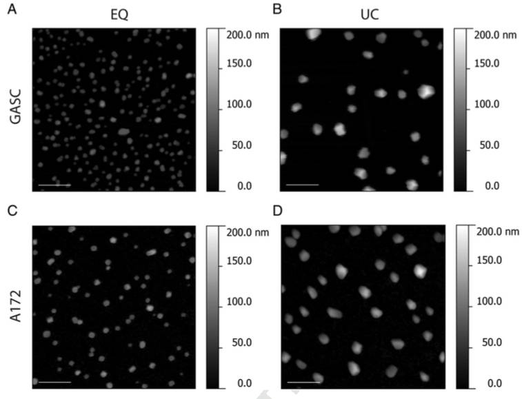 图1：利用聚合物沉淀分离的外泌体比超离法的粒子分布要小。
