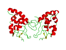 Science：重大突破！开发出<font color='red'>化学选择性蛋氨酸生物偶联</font>