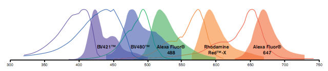 Brilliant Violet 421, Brilliant Violet 488荧光标记二抗 Brilliant Violet 421, Brilliant Violet 488荧光标记二抗