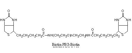 生物素-<font color='red'>PEG</font>-生物素 Biotin-<font color='red'>PEG</font>-Biotin