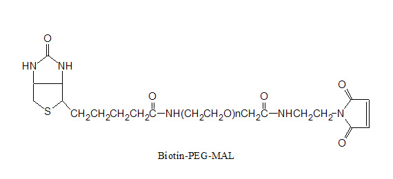 生物素-PEG-马来酰亚胺 Biotin-PEG-Maleimide