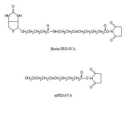 生物素-<font color='red'>PEG</font>-琥珀酰亚胺戊酸酯和聚乙二醇-琥珀酰亚胺戊酸酯套装