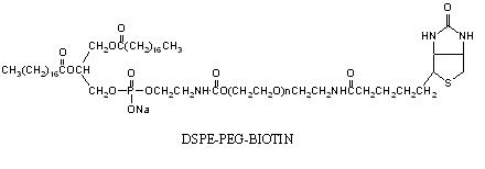 生物素-<font color='red'>PEG</font>-二硬脂酰基磷脂酰乙醇胺 Biotin-<font color='red'>PEG</font>-DSPE