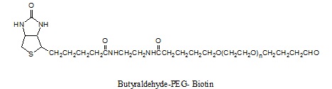丁醛-PEG-生物素 ButyrAldehyde-PEG-Biotin