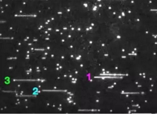 人类首次拍摄 DNA 复制！美科学家：人类理论完全瞎编，中学课本错误百出！