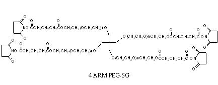 四臂聚乙二醇SG酯 4 arm <font color='red'>PEG</font>-Succinimidyl Glutarate