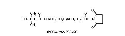 tBOC-氨基-聚乙二醇-SC酯 tBOC-NH-PEG-Succinimidyl Carbonate