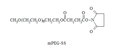 甲氧基聚乙二醇SS酯 mPEG-<font color='red'>Succinimidyl</font> Succinate