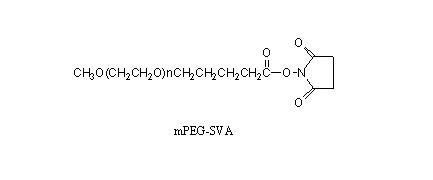 甲氧基聚乙二醇SVA酯<font color='red'> mPEG</font>-Succinimidyl Valerate