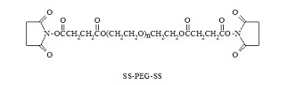 SS-聚乙二醇-SS SS-PEG-SS