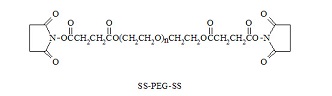 SS-聚乙二醇-SS SS-PEG-SS