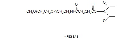 甲氧基聚乙二醇SAS酯<font color='red'> mPEG</font>-Succinimidyl Amido Succinate
